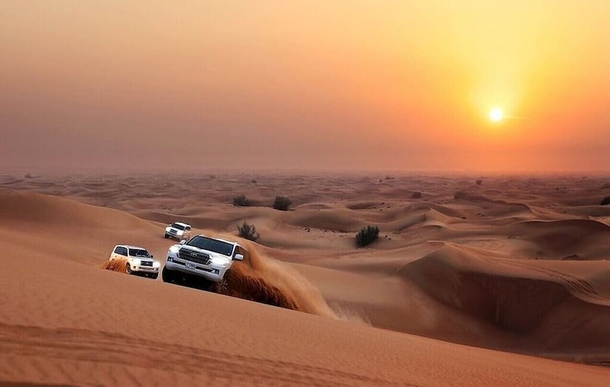 Desert Safari